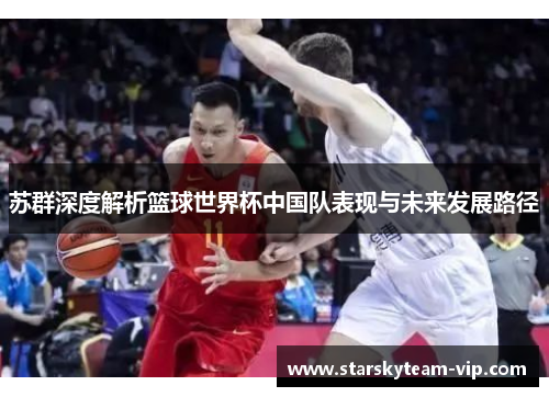 苏群深度解析篮球世界杯中国队表现与未来发展路径