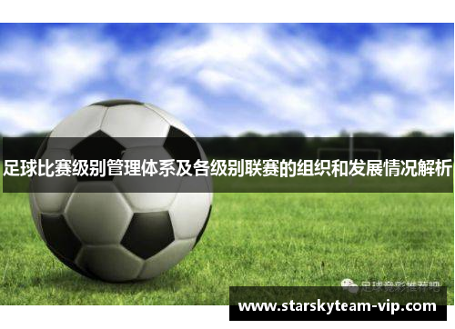 足球比赛级别管理体系及各级别联赛的组织和发展情况解析