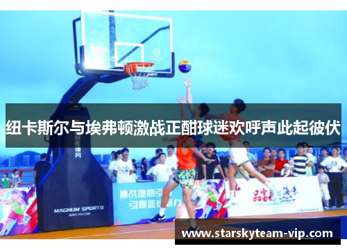 纽卡斯尔与埃弗顿激战正酣球迷欢呼声此起彼伏